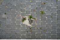 Photo Texture of Overgrown Floor