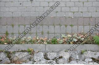 Photo Texture of Overgrown Floor