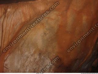 photo texture of background cave