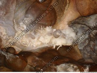 photo texture of background cave