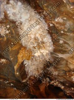 photo texture of background cave