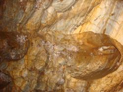 Photo Textures of Background Cave