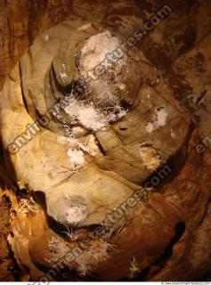 photo texture of background cave