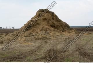 Photo Texture of Straw