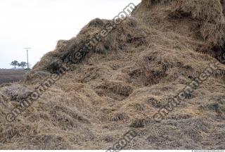 Photo Texture of Straw