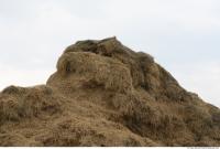 Photo Texture of Straw