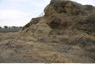 Photo Texture of Straw