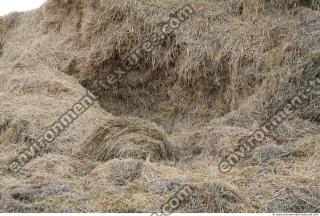 Photo Texture of Straw