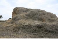 Photo Texture of Straw