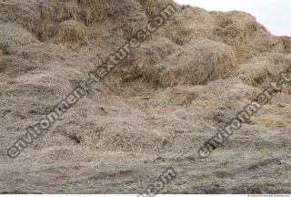 Photo Texture of Straw