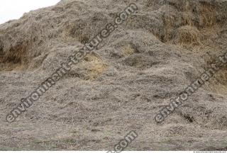 Photo Texture of Straw