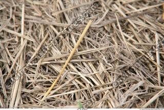 Photo Texture of Straw