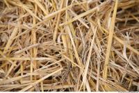 Photo Texture of Straw