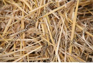 Photo Texture of Straw