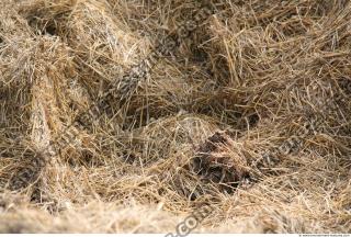 Photo Texture of Straw