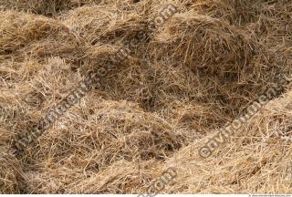 Photo Texture of Straw