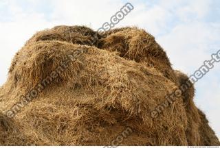 Photo Texture of Straw