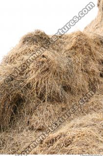 Photo Texture of Straw