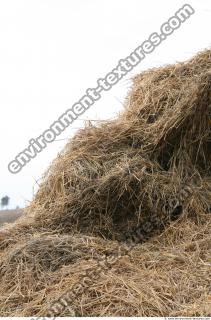 Photo Texture of Straw