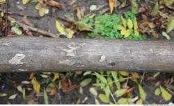 Various Planks Wood