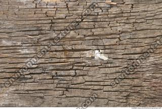 photo texture of wood rough