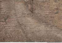 photo texture of wood bare