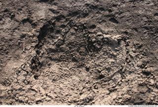 Photo texture of Soil Rough