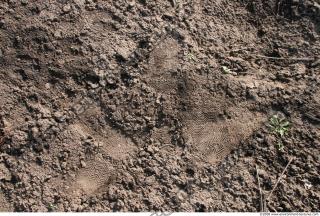 Photo texture of Soil Rough