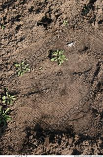 Photo texture of Soil Rough