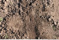 Photo texture of Soil Rough