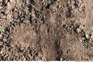 Photo texture of Soil Rough