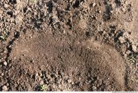 Photo texture of Soil Rough