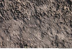 Photo texture of Soil