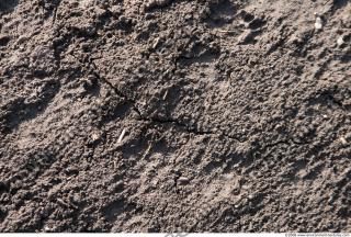 Photo texture of Soil Rough