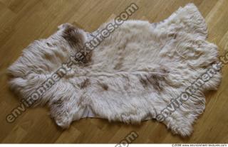 Fur 0029