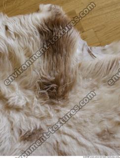 Fur 0032