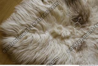 Fur 0033