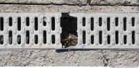 Ground Sewer Grate 0017