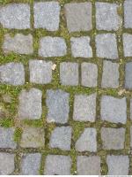 Photo Texture of Overgrown Floor