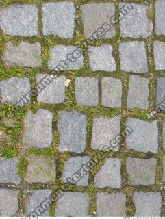 Photo Texture of Overgrown Floor