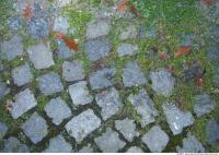 Photo Texture of Overgrown Floor