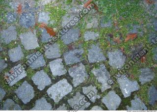 Photo Texture of Overgrown Floor