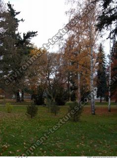 Background Garden 0028