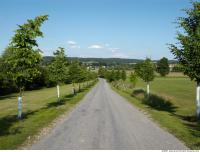 background road