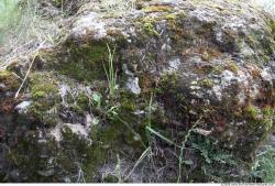 Mossy Rock