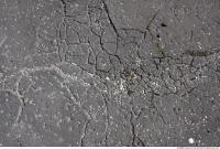 Photo Texture of Cracky Asphalt 