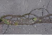 Photo Texture of Cracky Asphalt 