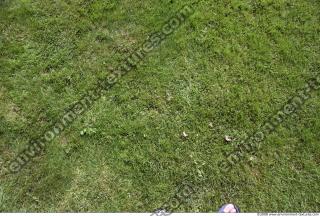 Photo Texture of Grass