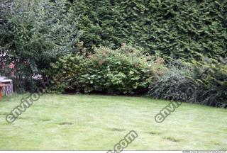 Background Garden 0029