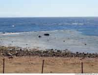 Photo Reference of Background Beach